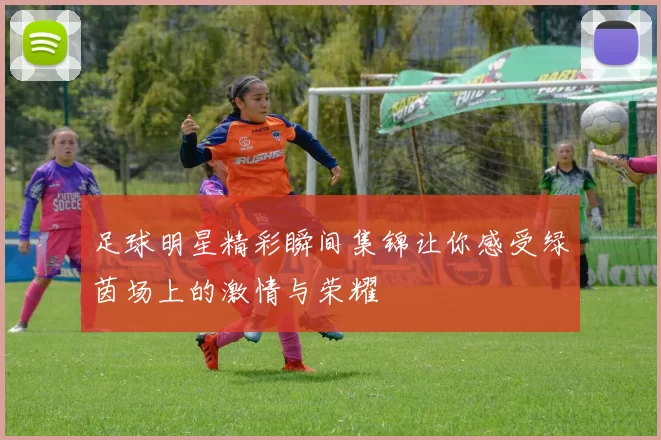 足球明星精彩瞬间集锦让你感受绿茵场上的激情与荣耀
