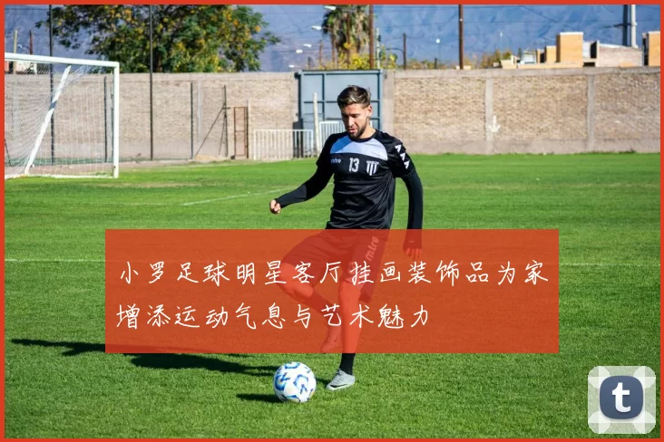 小罗足球明星客厅挂画装饰品为家增添运动气息与艺术魅力