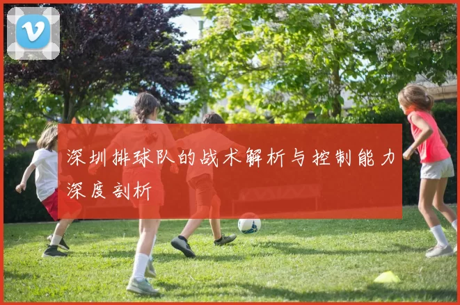 深圳排球队的战术解析与控制能力深度剖析