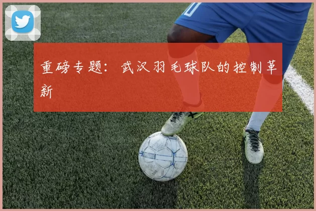 重磅专题：武汉羽毛球队的控制革新