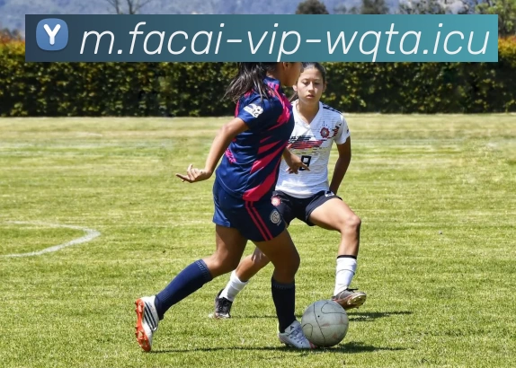 乐竞体育平台生态图