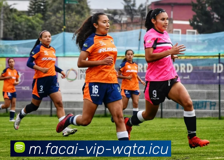 乐竞体育APP 封面图